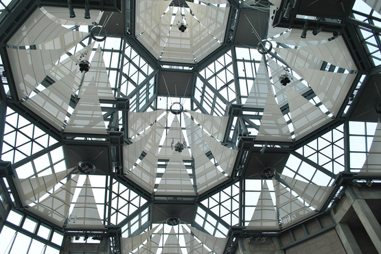 Описание изображения