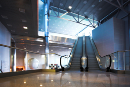 Описание изображения