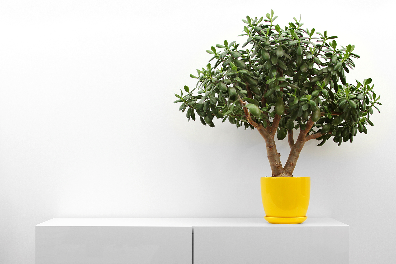 <span style="font-weight: bold;">Выставка мебели, предметов интерьера и декора</span>